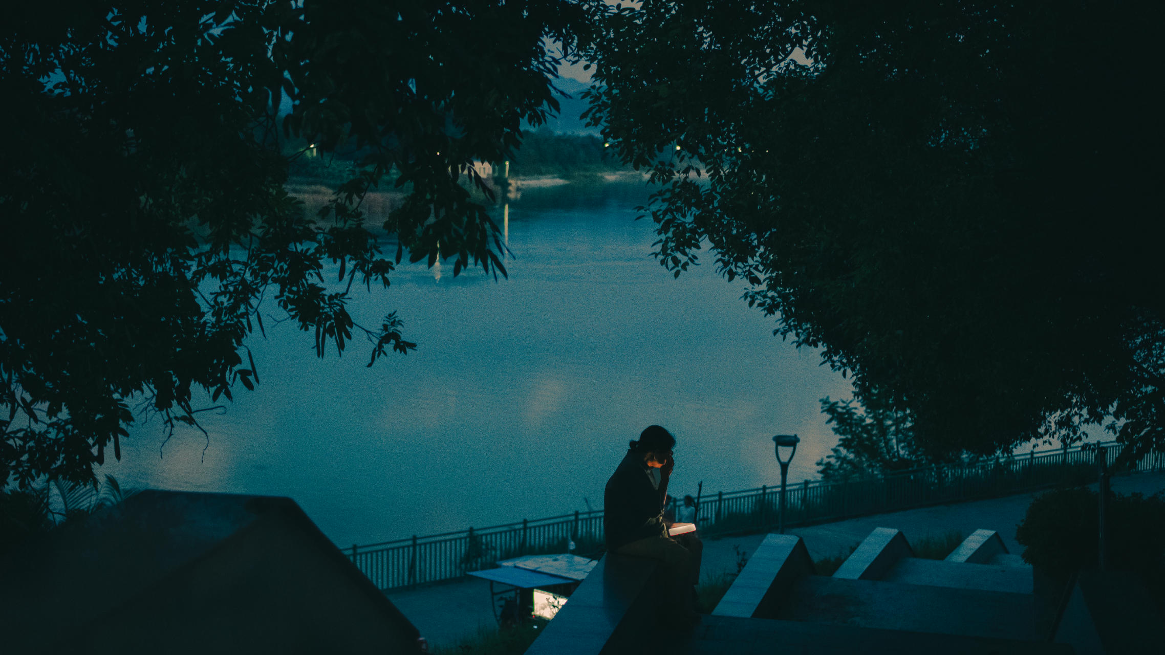 树影下的夜色湖畔
